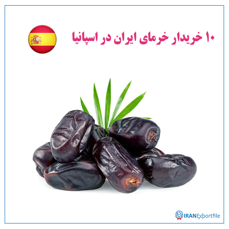 10-خریدار-خرمای-ایران-در-اسپانیا 1