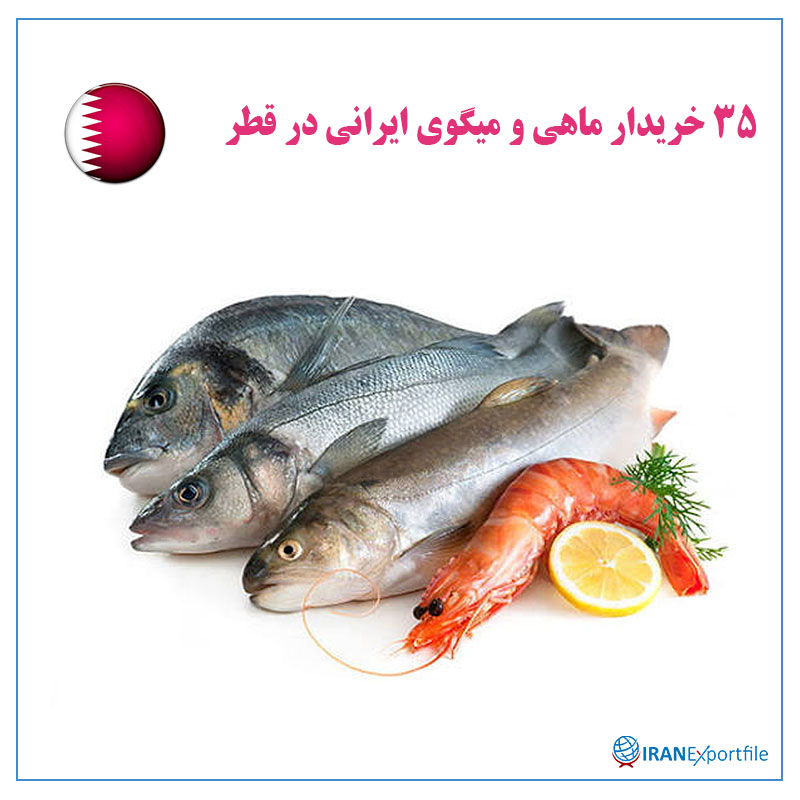 35-خریدار-ماهی-و-میگوی-ایرانی-در-قطر 1