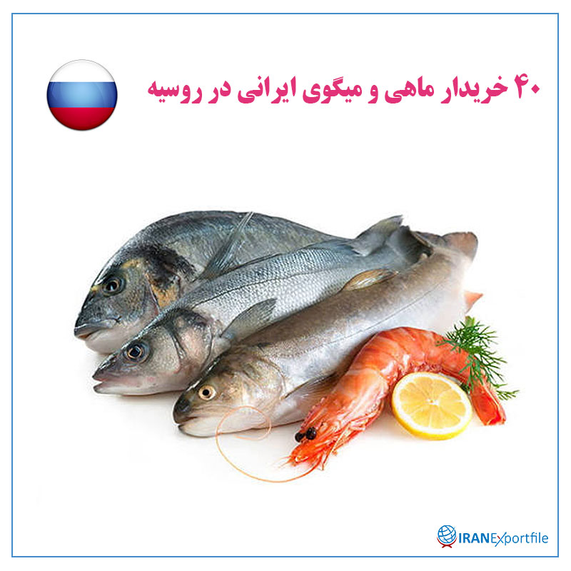 40-خریدار-ماهی-و-میگوی-ایرانی-در-روسیه 1