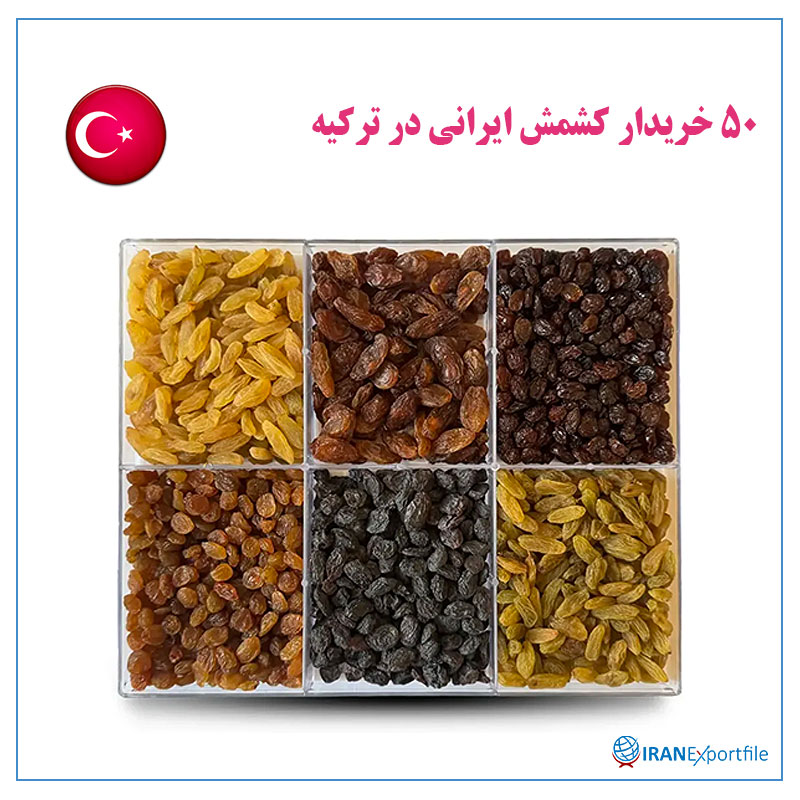 50-خریدار-کشمش-ایرانی-در-ترکیه 1
