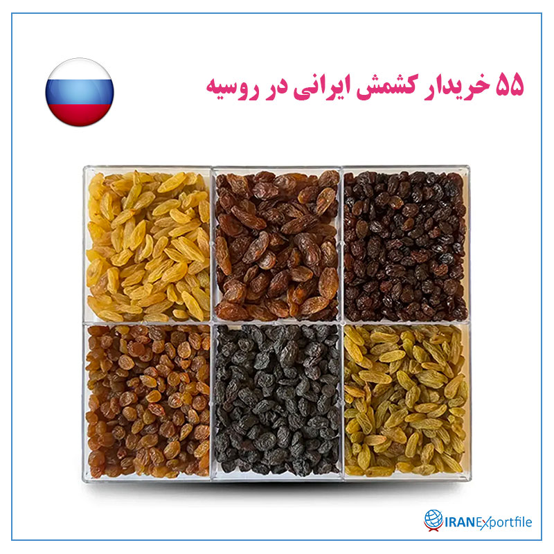 55-خریدار-کشمش-ایرانی-در-روسیه 1