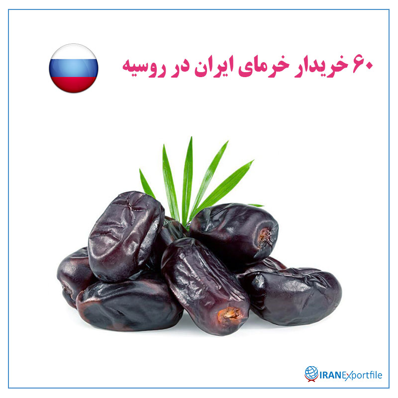 60-خریدار-خرمای-ایران-در-روسیه 1