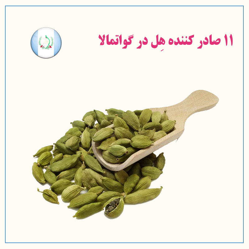 11صادر-کننده-هل-در-گواتمالا 1